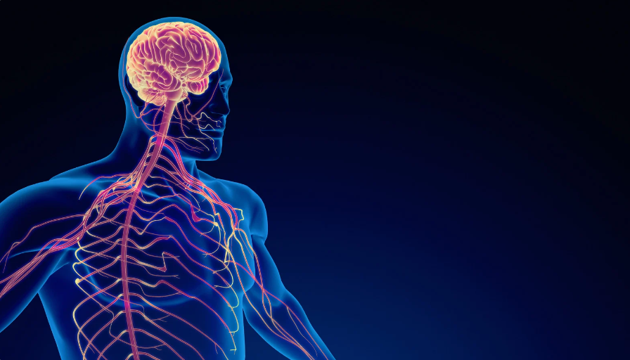 electrotherapy and nervous system health